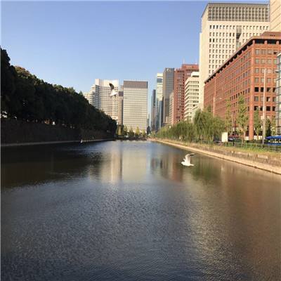 香港今晚六给彩开奖结果手机app下载