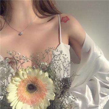 博鱼综合app官网登录截图